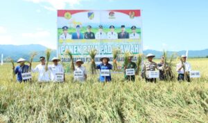 IMG-20260416-WA0018(1)